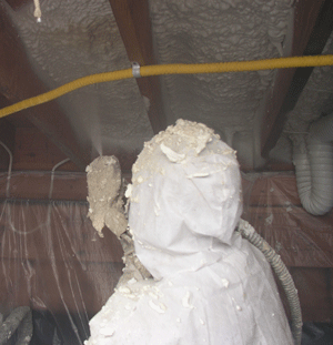 Winnipeg  crawl space insulation